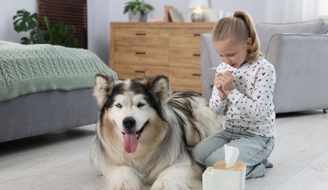 10 Must-Have Pet Home Essentials Every Pet Owner Needs in 2026