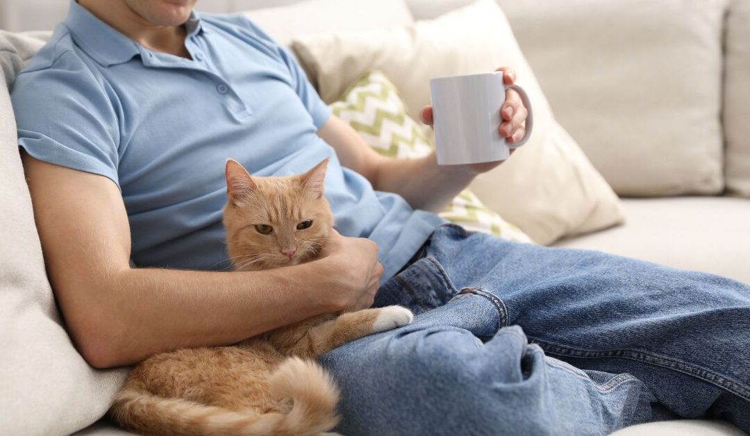 How to Reduce Pet Anxiety: Proven Comfort & Calming Accessories That Work