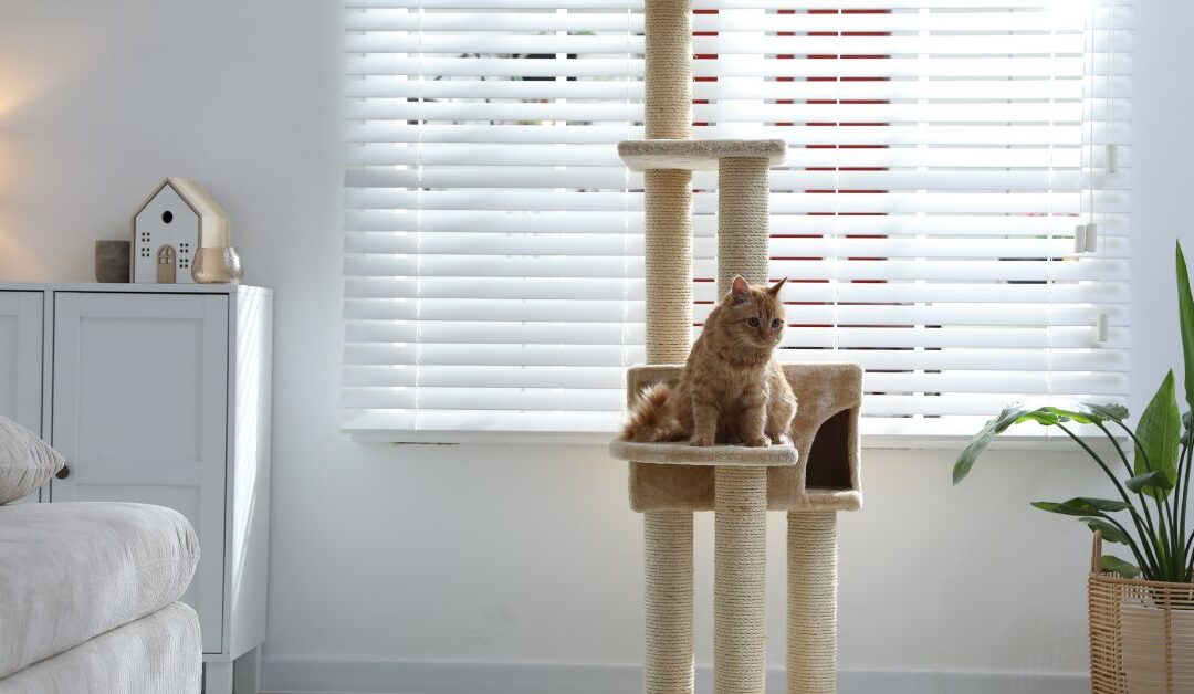 How to Create a Cozy and Safe Home for Your Pets with Pet Beds & Furniture